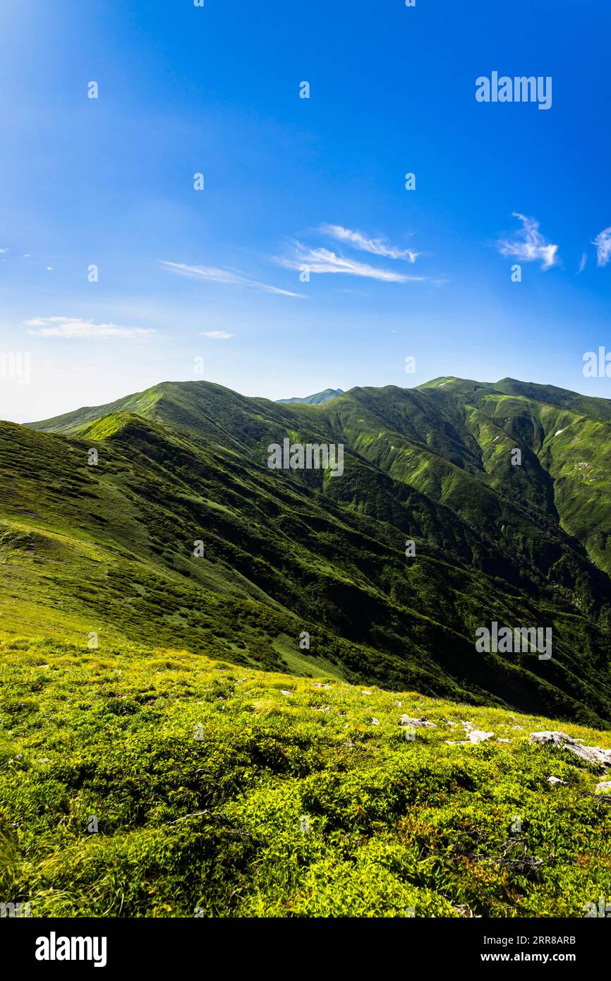 Trekking nella catena montuosa di Asahi, catena principale, monte Ohasahi più alto (piccolo pinnacolo più arretrato), 100 montagne del Giappone, Yamagata, Tohoku, Giappone, Asia Foto Stock