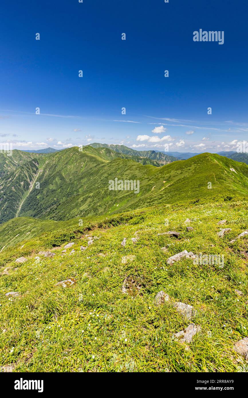 Trekking nella catena montuosa di Asahi, vista a distanza del monte Itohdake, dal sentiero di crinale, 100 montagne del Giappone, Yamagata, Tohoku, Giappone, Asia Foto Stock