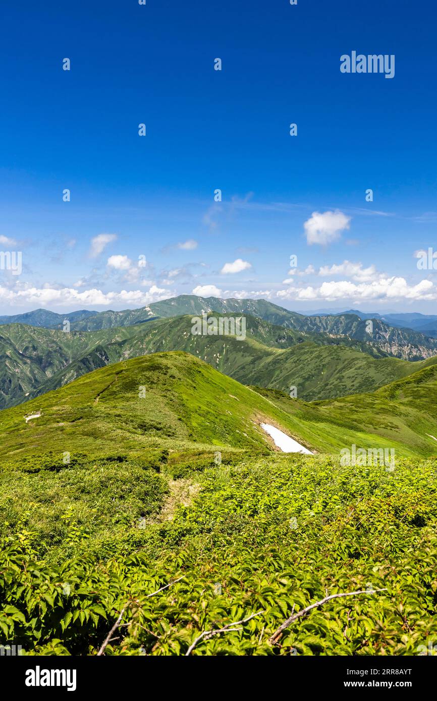 Catena montuosa di Asahi, vista del Monte Itohdake (retro), dal Monte Nishiasahidake, 100 montagne del Giappone, Yamagata, Tohoku, Giappone, Asia Foto Stock