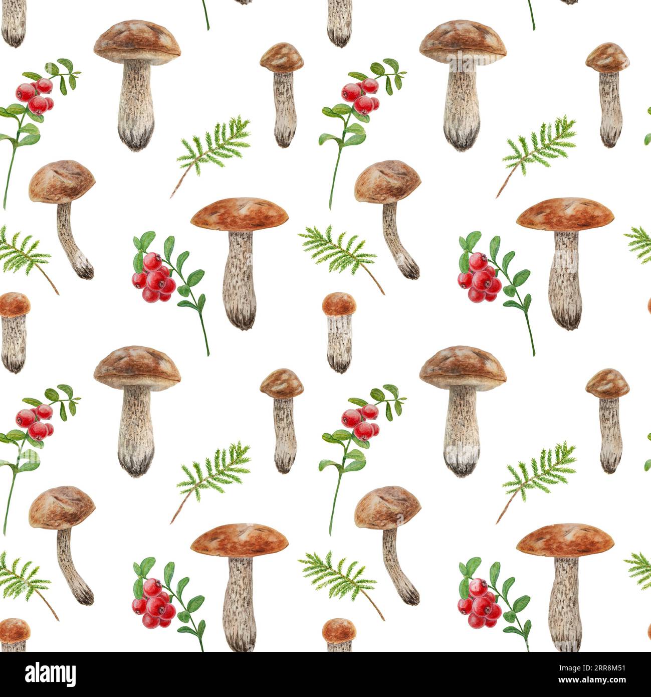 Funghi selvatici, bacche selvatiche rosse e motivo ad acquerello muschio senza cuciture. Illustrazione realistica botanica disegnata a mano. Bolo forestale e mirtillo rosso Foto Stock