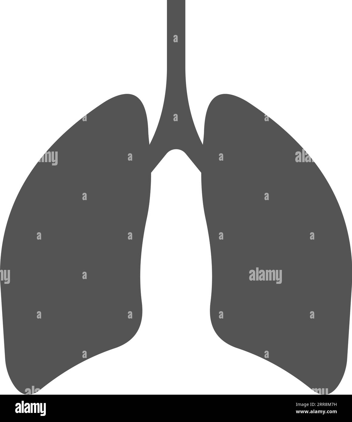 Polmoni sagoma dell'organo respiratorio umano vie respiratorie polmoni Illustrazione Vettoriale