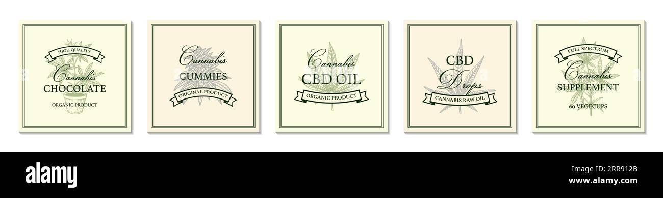 Set di articoli per la cannabis e modello vintage con logo con elementi disegnati a mano. Illustrazione vettoriale nello stile di schizzo. Design per branding e prodotti Illustrazione Vettoriale