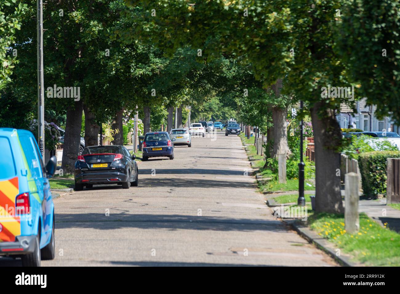 viale suburbano alberato a Southend on Sea, Essex, Regno Unito, con alberi che creano un tunnel verde Foto Stock