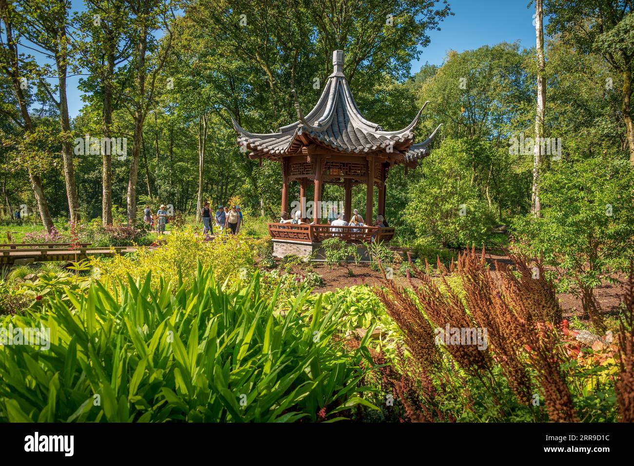 Il padiglione musicale Qing Yin nel Chinese Streamside Garden all'RHS Bridgewater Gardens a Worsley, vicino Manchester. Foto Stock