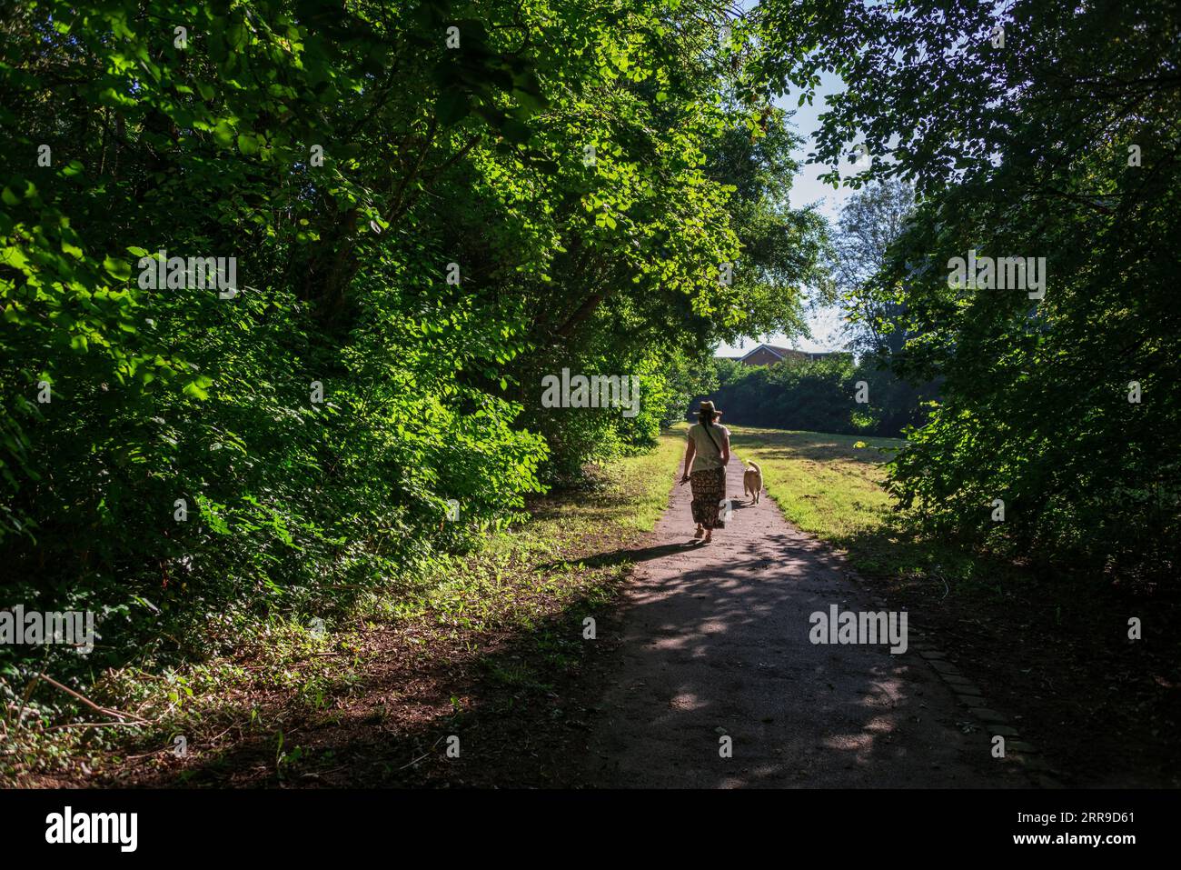 Passeggio mattutino per cani su un sentiero verde rurale. Foto Stock