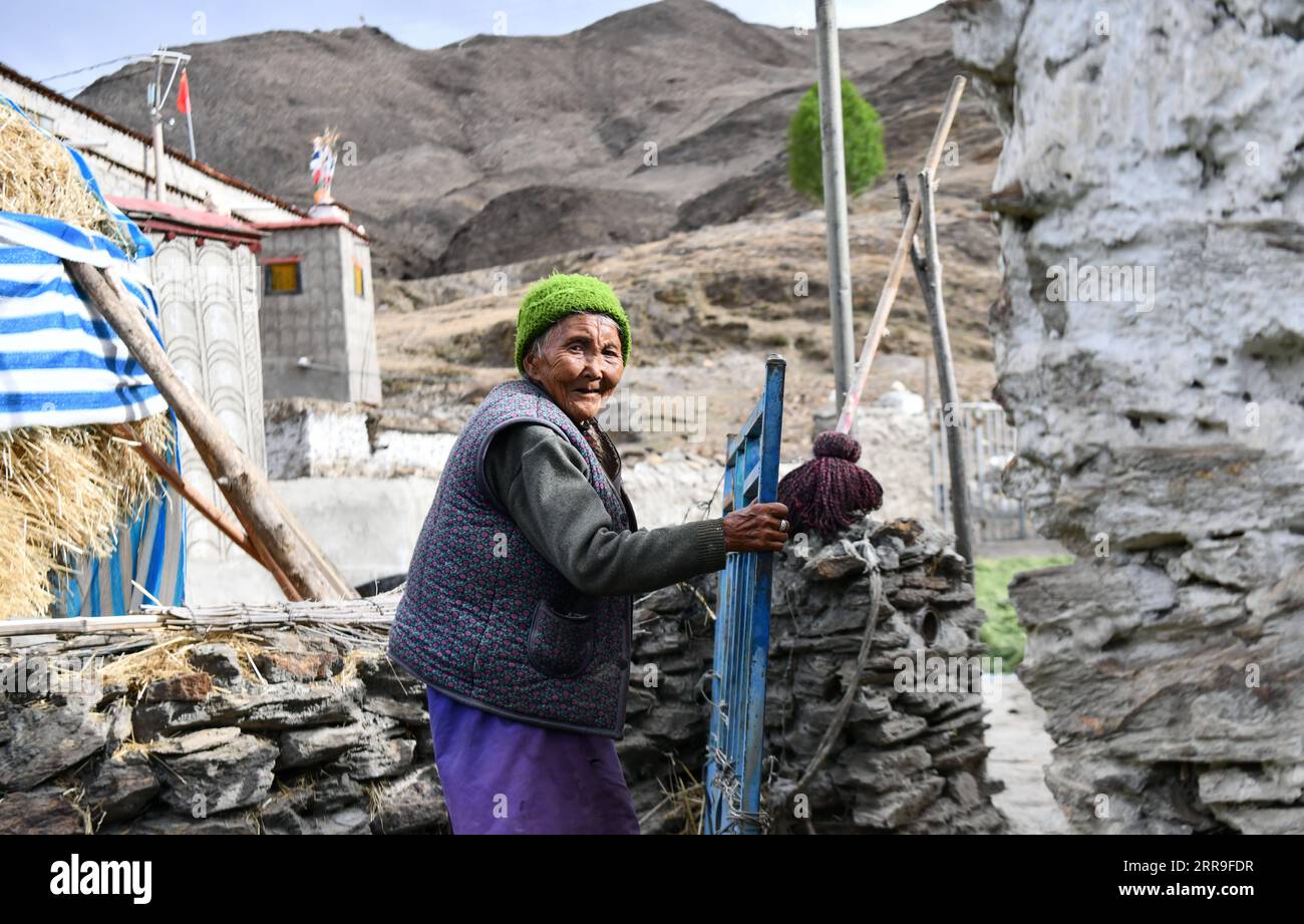 210614 -- LHASA, 14 giugno 2021 -- Tsering Yangzom chiude il corral a casa nel villaggio di Qoide og nella contea di Nedong della città di Shannan, nella regione autonoma del Tibet della Cina sud-occidentale, 3 giugno 2021. Tsering Yangzom, 87 anni, era un servitore e viveva sotto la crudele servitù feudale prima della riforma democratica in Tibet. Tsering Yangzom è nata in una famiglia di servi, e non poteva mai dimenticare i tempi difficili in cui la sua famiglia non aveva altra scelta che nutrirsi degli avanzi delle famiglie più abbienti. I miei genitori mi hanno portato in questo mondo, ma la mia vita apparteneva al proprietario del servizio, proprio come loro, ricordava. La riforma democratica del 195 Foto Stock