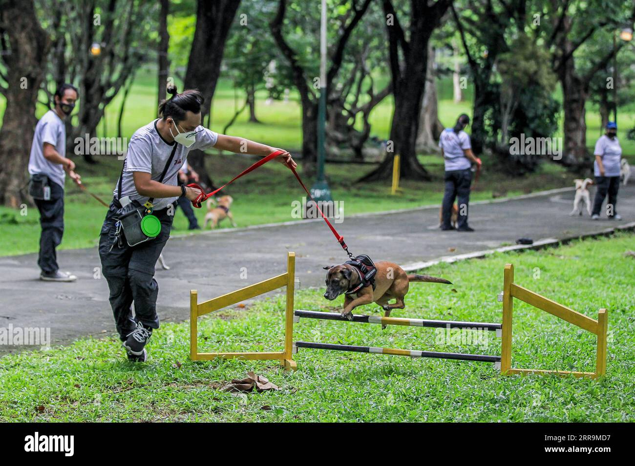 210623 -- MANILA, 23 giugno 2021 -- Un membro dell'Università delle Filippine UP Sagip Rescue K9 allena il suo cane all'UP Campus di Manila, nelle Filippine, il 23 giugno 2021. L'UP Sagip Rescue K9 mira a trovare scopo e cura per i cani randagi salvati che sono stati lasciati senza alimentazione a causa della pandemia di COVID-19 attraverso una formazione di ricerca e salvataggio. FILIPPINE-MANILA-RANDAGI-ADDESTRAMENTO CANI ROUELLEXUMALI PUBLICATIONXNOTXINXCHN Foto Stock