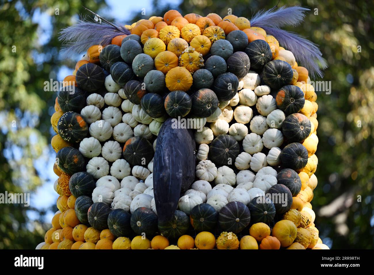 Erfurt, Germania. 7 settembre 2023. Un gufo fatto di legno e zucche può essere visto nella tradizionale mostra sulla zucca a Ega Park. La mostra di zucca di quest'anno dura dal 2 settembre al 31 ottobre 2023 ed è dedicata al tema della foresta. Dieci figure sono state scolpite da centinaia di zucche grandi e piccole. Credito: Martin Schutt/dpa/Alamy Live News Foto Stock