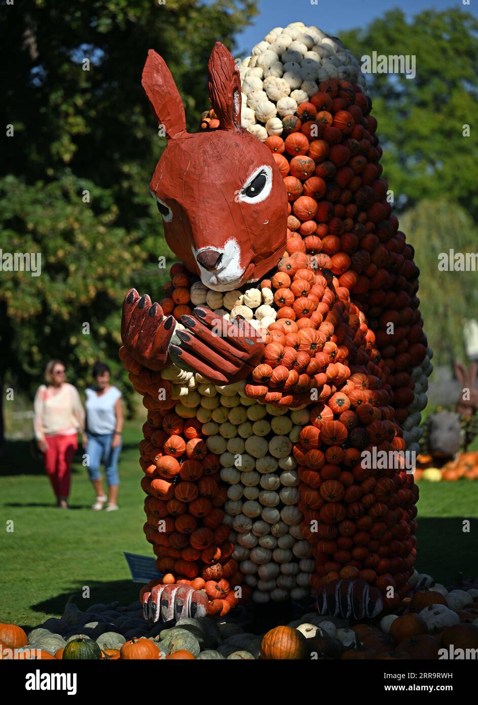 Erfurt, Germania. 7 settembre 2023. Uno scoiattolo fatto di legno e zucche può essere visto nella tradizionale mostra di zucca a Ega Park. La mostra di zucca di quest'anno dura dal 2 settembre al 31 ottobre 2023 ed è dedicata al tema della foresta. Dieci figure sono state scolpite da centinaia di zucche grandi e piccole. Credito: Martin Schutt/dpa/Alamy Live News Foto Stock