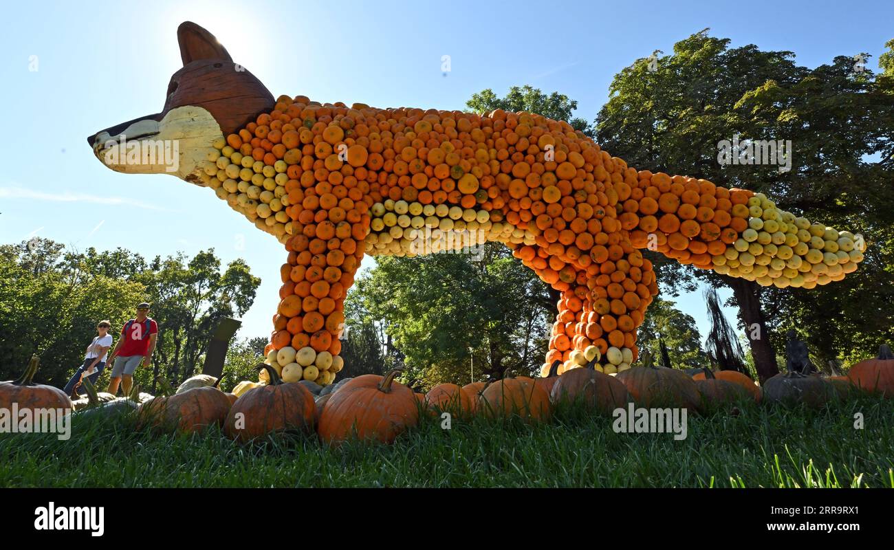 Erfurt, Germania. 7 settembre 2023. Una volpe fatta di legno e zucche può essere vista nella tradizionale mostra di zucca a Ega Park. La mostra di zucca di quest'anno dura dal 2 settembre al 31 ottobre 2023 ed è dedicata al tema della foresta. Dieci figure sono state scolpite da centinaia di zucche grandi e piccole. Credito: Martin Schutt/dpa/Alamy Live News Foto Stock