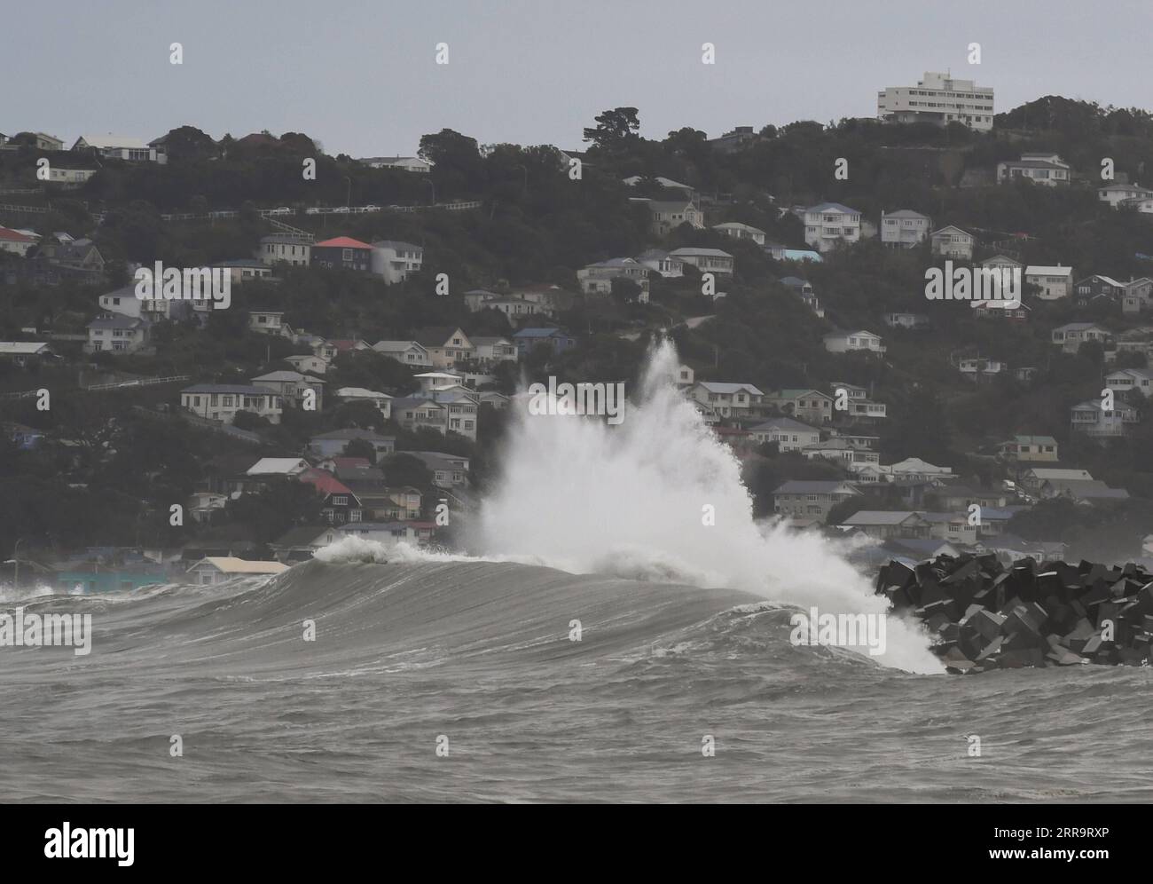 210630 -- WELLINGTON, 30 giugno 2021 -- grandi onde sono viste al largo della costa meridionale di Wellington in nuova Zelanda, 30 giugno 2021. Un'esplosione antartica ha attraversato la nuova Zelanda da martedì, sorseggiando onde alte fino a 6 metri vicino alla costa meridionale della sua capitale. NEW ZEALAND-WELLINGTON-LARGE WAVE GuoxLei PUBLICATIONxNOTxINxCHN Foto Stock