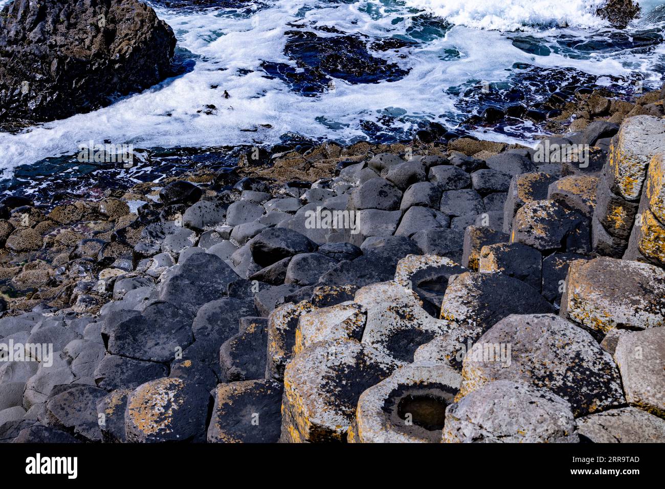 Turisti al Giant's Causeway, contea di Antrim, Irlanda del Nord Foto Stock