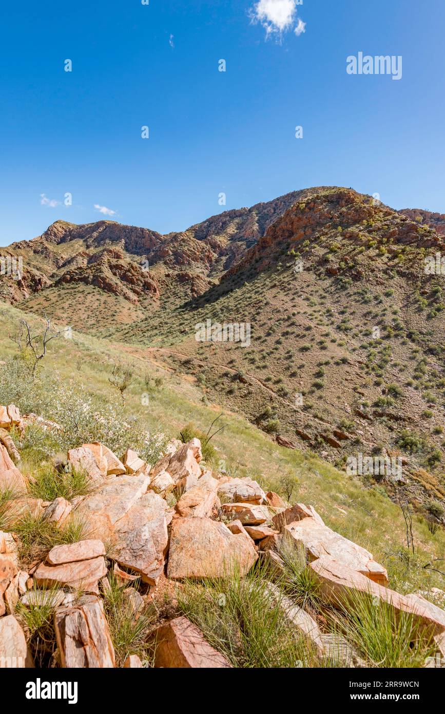 Una vista da una delle colline sopra Standley Chasm o Angkerle Atwatye, guardando verso il terzo tratto del Larapinta Trail nel territorio del Nord Foto Stock