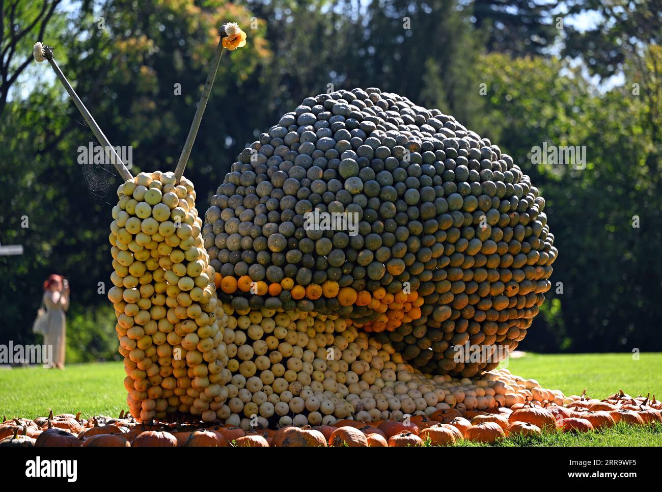 Erfurt, Germania. 7 settembre 2023. Una lumaca fatta di legno e zucche può essere vista nella tradizionale mostra sulla zucca a Ega Park. La mostra di zucca di quest'anno dura dal 2 settembre al 31 ottobre 2023 ed è dedicata al tema della foresta. Dieci figure sono state scolpite da centinaia di zucche grandi e piccole. Credito: Martin Schutt/dpa/Alamy Live News Foto Stock