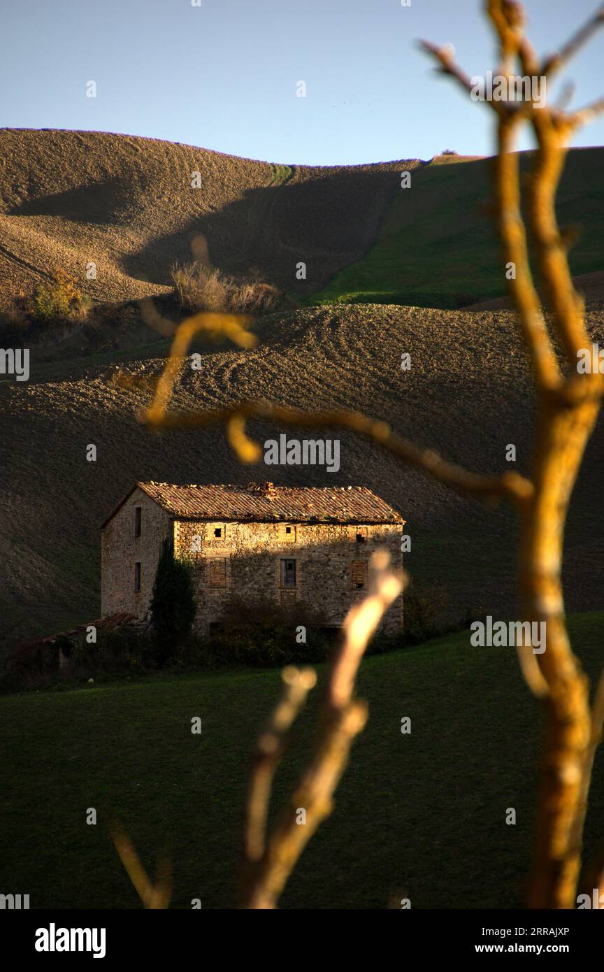 campo arato con una casa e rami secchi sfocati Foto Stock
