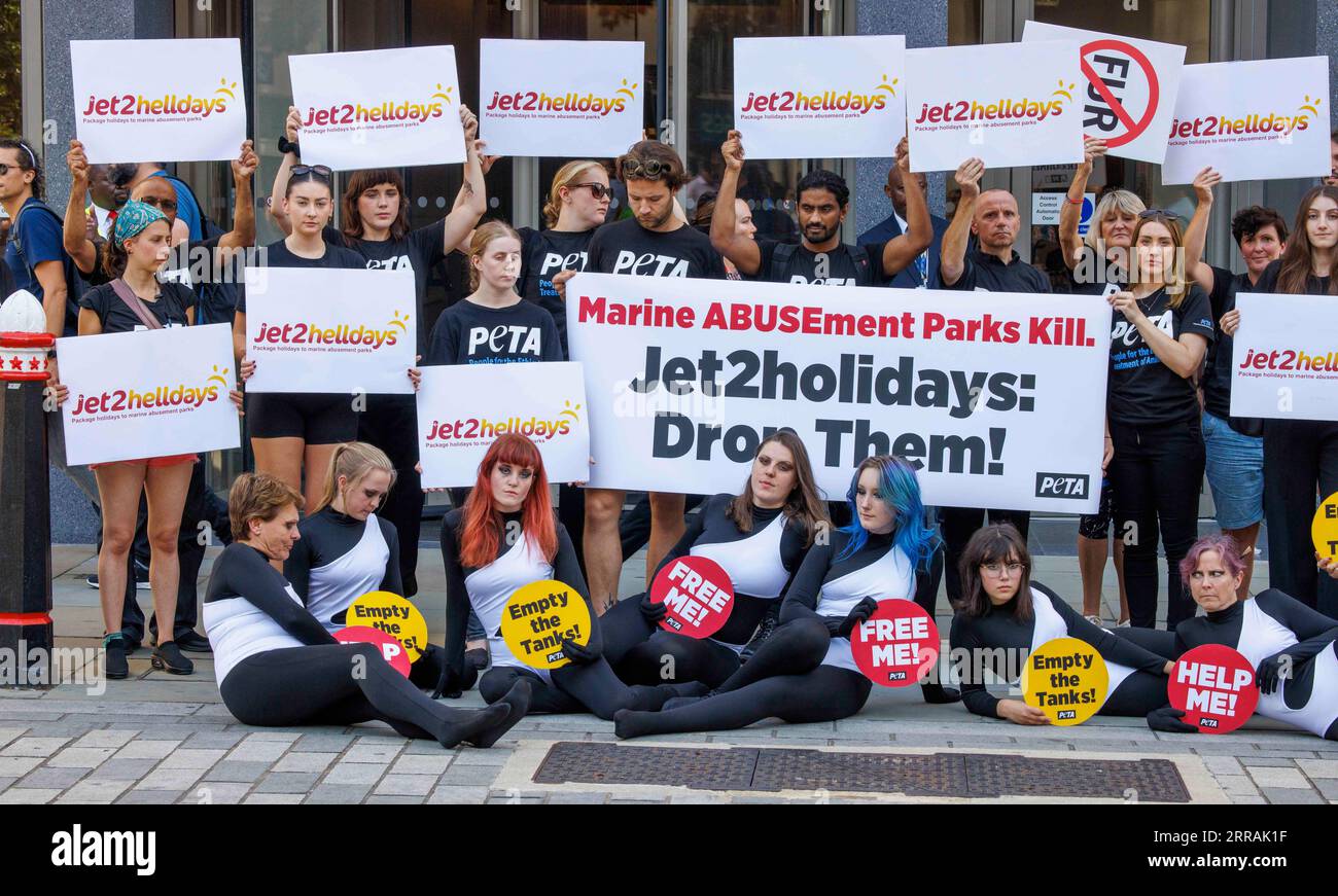 Londra, Regno Unito. 7 settembre 2023. Dead Orcas giace fuori dagli uffici dove i Jet2 stanno tenendo la loro riunione annuale. Stanno esortando la Bcompany a non vendere le vacanze ai parchi Marine Abusement. L'incontro annuale segna un anno da quando PETA ha lanciato la sua campagna che esorta Jet2holidays a unirsi ad altri fornitori di viaggi, tra cui British Airways Holidays e Virgin Atlantic Holidays, nel rifiutare di vendere biglietti per parchi marini. Nonostante la crescente pressione, la compagnia continua a promuovere e vendere biglietti per parchi marini dove balene e delfini soffrono. Crediti: Mark Thomas/Alamy Live News Foto Stock