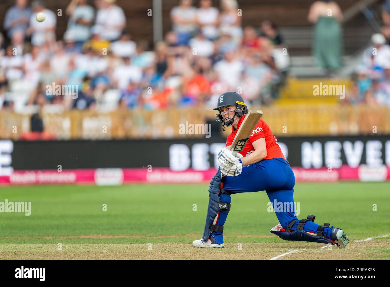 Capitano Heather Knight che batte per l'Inghilterra nella terza Vitality IT20 tra Inghilterra e Sri Lanka Foto Stock