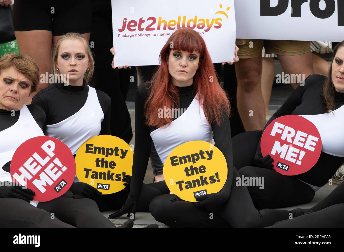 Londra, Regno Unito. 7 settembre 2023. People for the Ethical Treatment of Animals (PETA) protestano contro l'Assemblea generale annuale di Jet2 Holidays, invitandoli a unirsi ad altre compagnie di viaggio e a rimuovere i parchi marini con balene e delfini in cattività dai suoi pacchetti vacanze. Crediti: Ron Fassbender/Alamy Live News Foto Stock