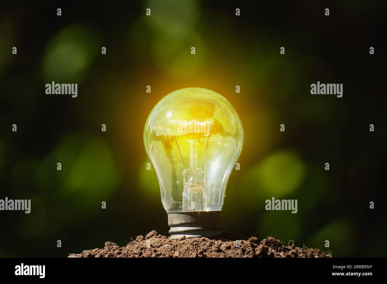 lampadina sul terreno al buio. risparmio energetico in natura. energia ecologica della terra. Foto Stock