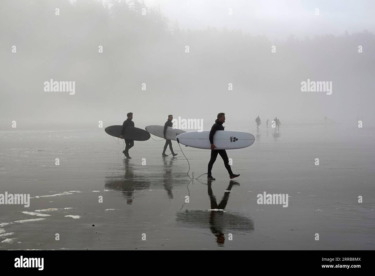 I surfisti vestiti con muta si dirigono verso l'acqua a Indian Beach nell'Ecola State Park, lungo la costa dell'Oregon vicino a Cannon Beach, Oregon. Foto Stock