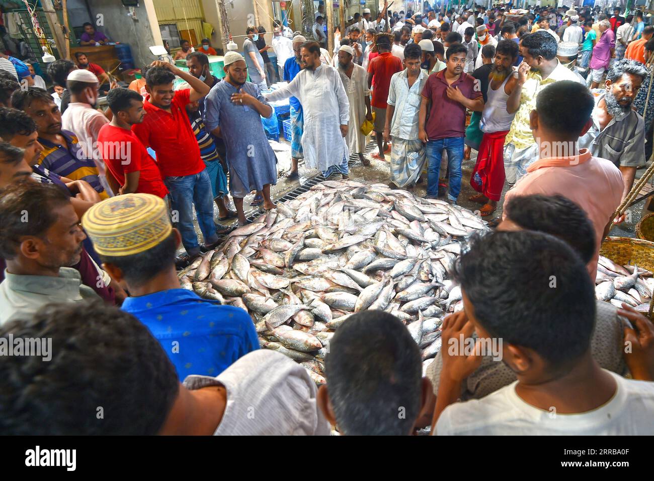 210910 -- CHANDPUR, 10 settembre 2021 -- i venditori vendono pesce Hilsa in una stazione di sbarco del pesce a Chandpur, Bangladesh, 7 settembre 2021. DA AGGIUNGERE: Stagione di pesca di picco del pesce Hilsa in Bangladesh-CHANDPUR-HILSA-CAMPAGNA DI PESCA Salim PUBLICATIONxNOTxINxCHN Foto Stock