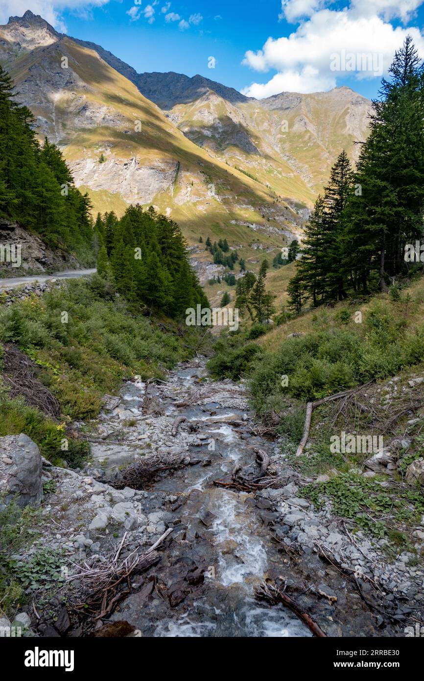 Un idilliaco ruscello di montagna che si snoda attraverso una lussureggiante foresta verdeggiante punteggiata da sentieri rocciosi Foto Stock