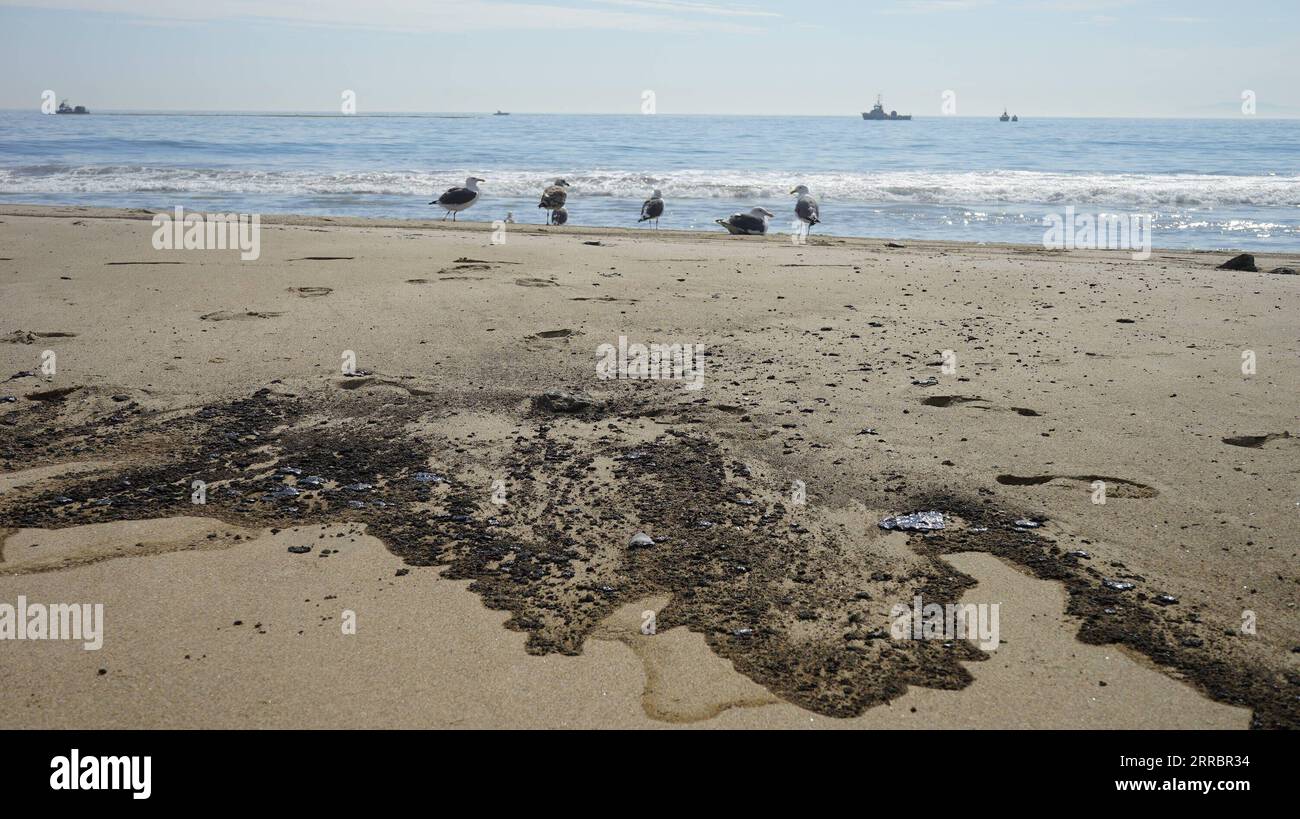 211004 -- CALIFORNIA, 4 ottobre 2021 -- l'olio macchia la spiaggia di Huntington nella contea di Orange, California, 3 ottobre 2021. Una massiccia fuoriuscita di petrolio al largo della costa della contea di Orange, nella California meridionale, ha portato alla chiusura di un'area di 9 chilometri di fronte alla spiaggia il 3 ottobre, e gli equipaggi del California Department of Fish and Wildlife CDFW stanno ripulendo l'inquinamento causato dalle strutture nelle acque federali. Foto di /Xinhua U.S.-CALIFORNIA-MASSICCIA FUORIUSCITA DI PETROLIO ZengxHui PUBLICATIONxNOTxINxCHN Foto Stock