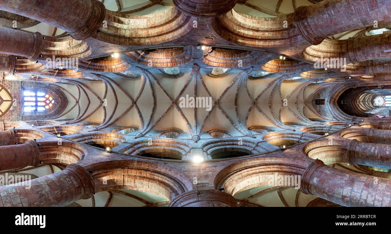 Vista interna del tetto della cattedrale di St Magnus a Kirkwall, continente, Isole Orcadi, Scozia, Regno Unito. Foto Stock