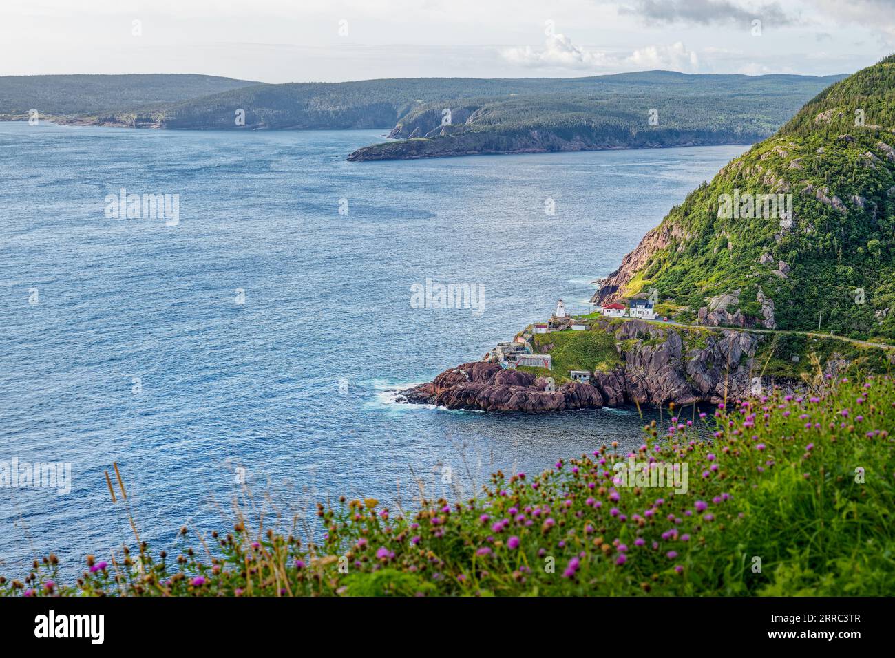 St John's, NL, Canada - 27 agosto 2023: Fort Amherst and the Narrows visto da Signal Hill Foto Stock