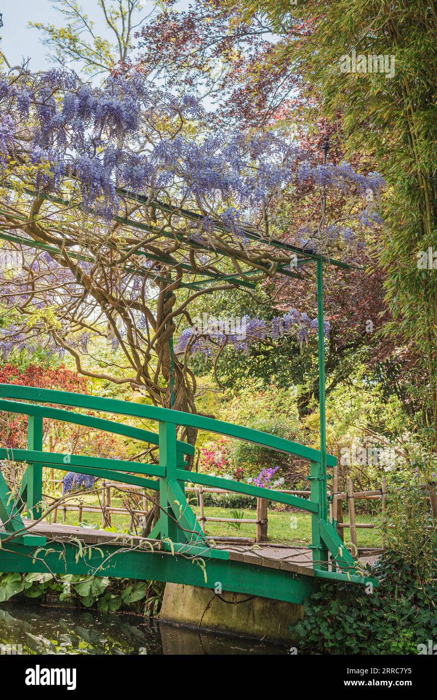 Francia Giverny Monet giardino primavera maggio, ponte verde e splendidi fiori, glicine Foto Stock