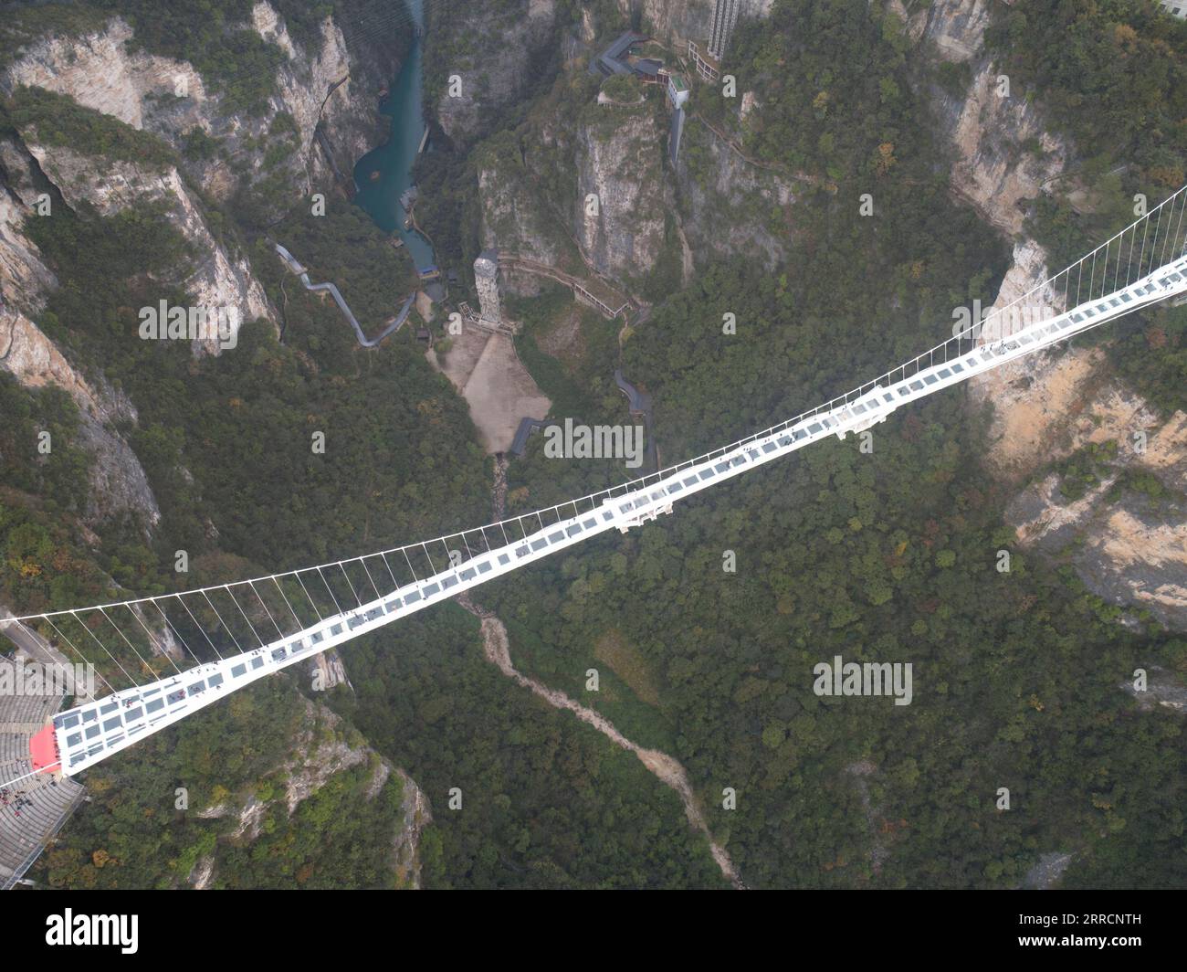 211112 -- ZHANGJIAJIE, 12 novembre 2021 -- foto aerea scattata il 12 novembre 2021 mostra i turisti che giocano sul ponte con fondo in vetro del Grand Canyon di Zhangjiajie, nella provincia centrale di Hunan della Cina. Il ponte lungo 430 metri e largo sei metri, che collega due scogliere ripide a 300 metri dal suolo, è pavimentato con 99 pannelli di vetro trasparente a tre strati. CHINA-HUNAN-ZHANGJIAJIE-GLASS BRIDGE CN ZHAOXZHONGZHI PUBLICATIONXNOTXINXCHN Foto Stock