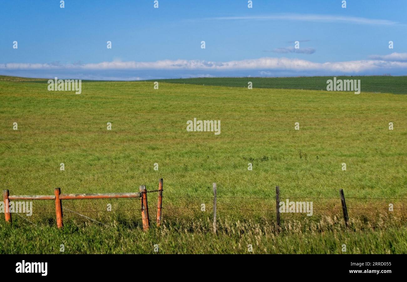 Rocky View County, Alberta, Canada Foto Stock