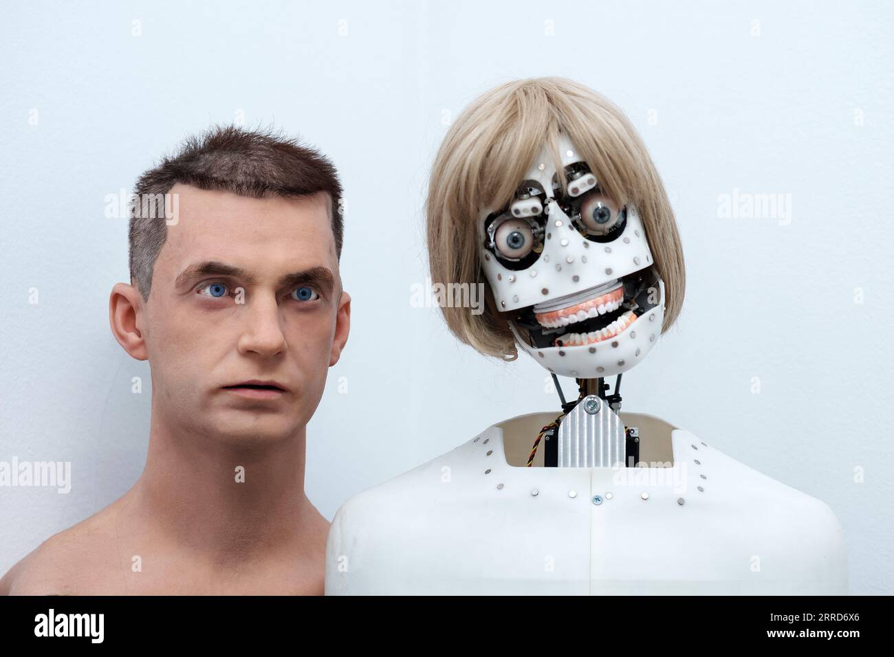 Perm, Russia - 13 luglio 2023: Teste di robot antropomorfi capaci di imitare le emozioni, senza la pelle del viso e con la pelle del viso, su uno sfondo bianco Foto Stock