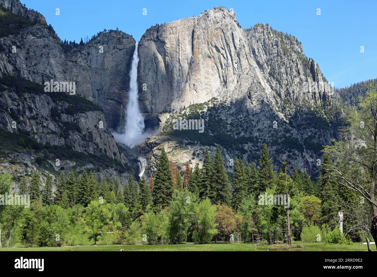 La scogliera con la cascata di Yosemite - Yosemite National Park, California Foto Stock