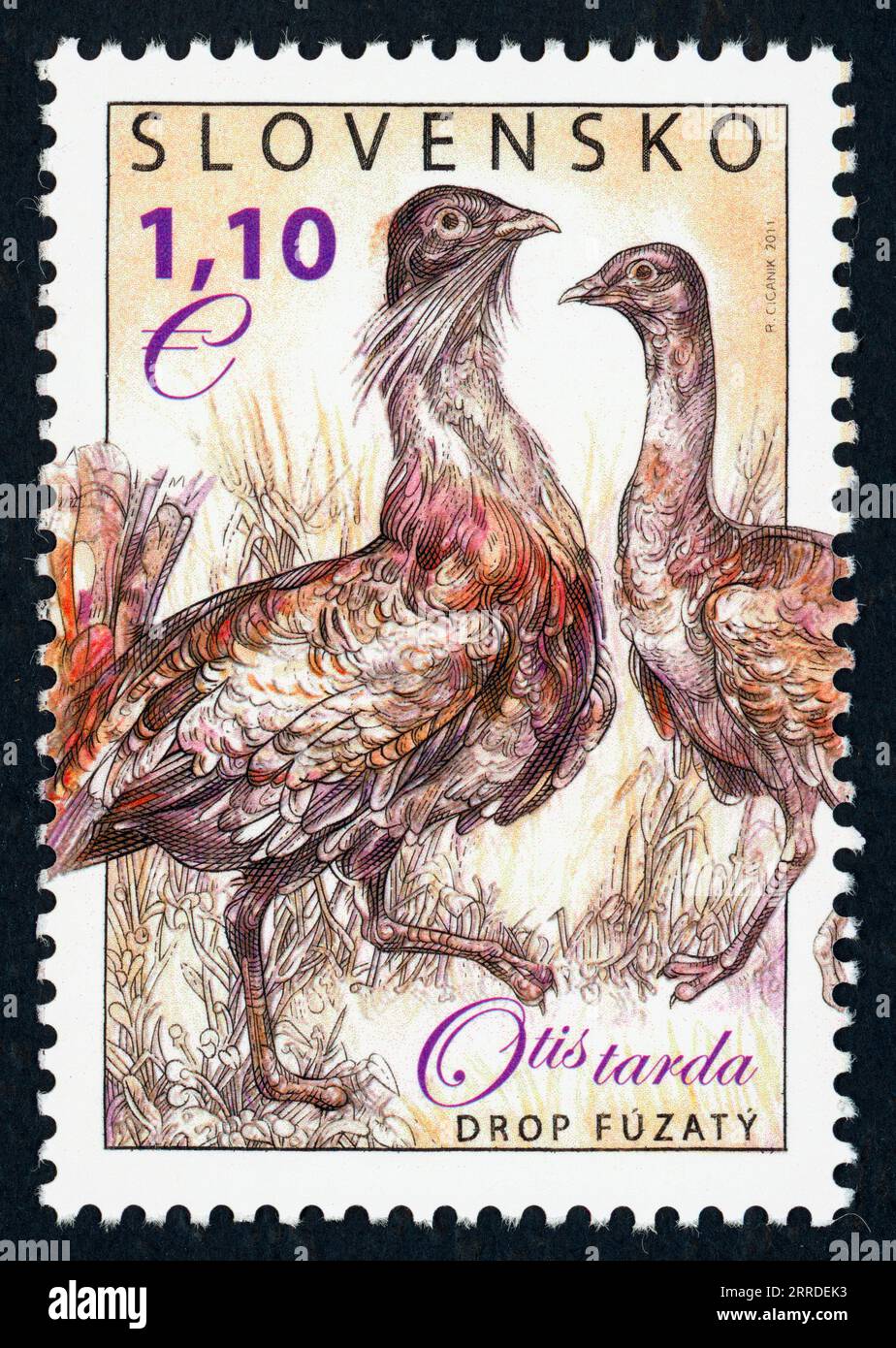 Il grande bufalo (Otis tarda). Francobollo emesso in Slovacchia nel 2011. Foto Stock