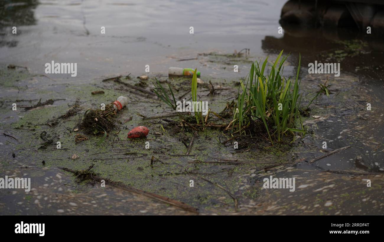 Fiume sporco, serbatoio, lago, bottiglie di plastica nell'acqua. Il concetto di inquinamento da parte dell'uomo, industria dei bacini, disastro ambientale, deat Foto Stock