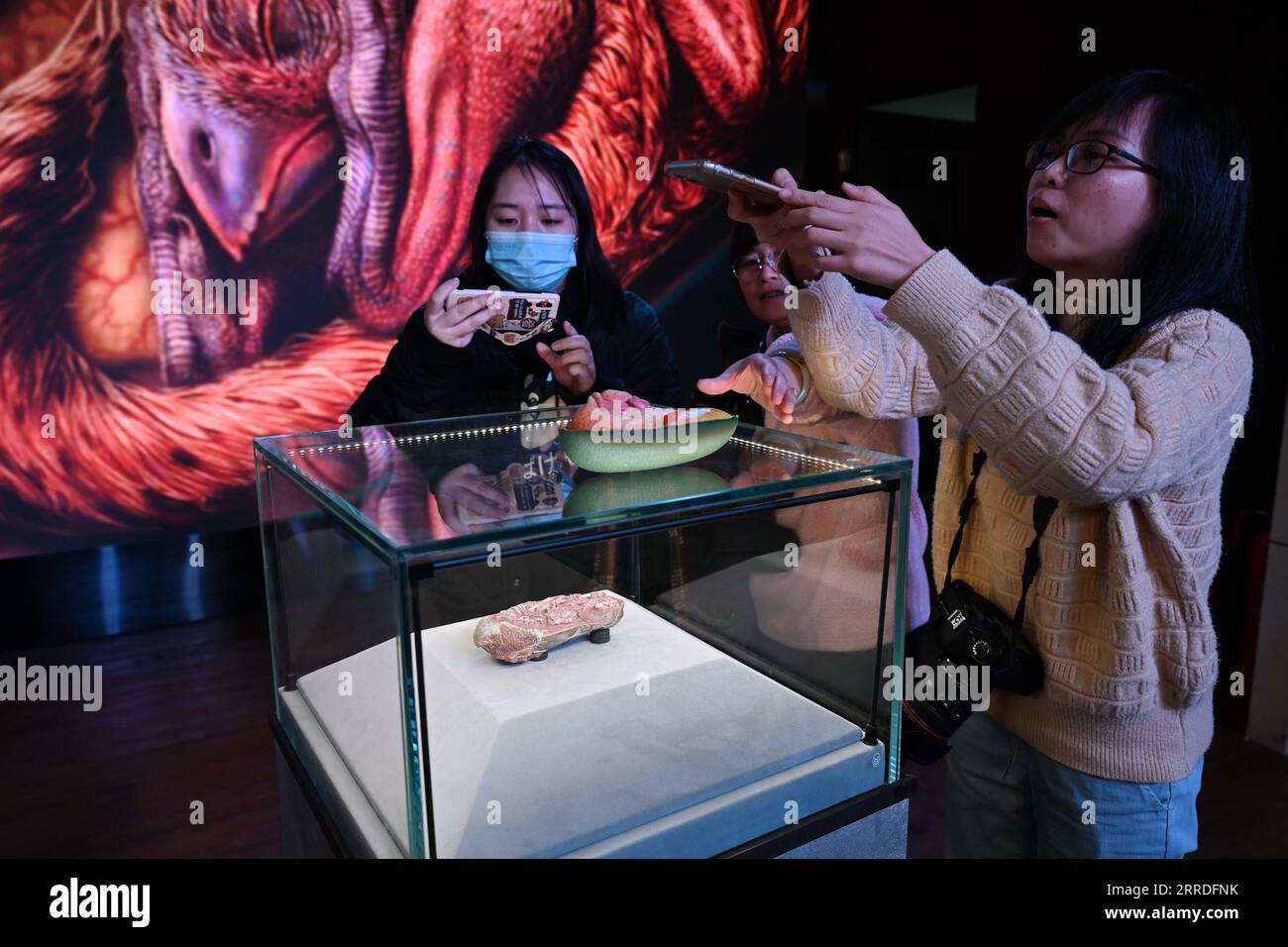 211223 -- FUZHOU, 23 dicembre 2021 -- i visitatori scattano foto di un uovo di dinosauro fossilizzato e del suo modello al Fujian Science and Technology Museum di Fuzhou, provincia del Fujian, 22 dicembre 2021. Un nuovo studio che esamina un embrione da un uovo di dinosauro fossilizzato ha fornito ulteriori prove a sostegno dell'idea che gli uccelli moderni si siano evoluti dai dinosauri. DA SEGUIRE in tutta la Cina: Lo studio sull'embrione di dinosauri sostiene il legame ancestrale con gli uccelli CHINA-FUJIAN-FUZHOU-FOSSILIZZATO DINOSAURO OVOCULO-EMBRIONE CN LinxShanchuan PUBLICATIONxNOTxINxCHN Foto Stock