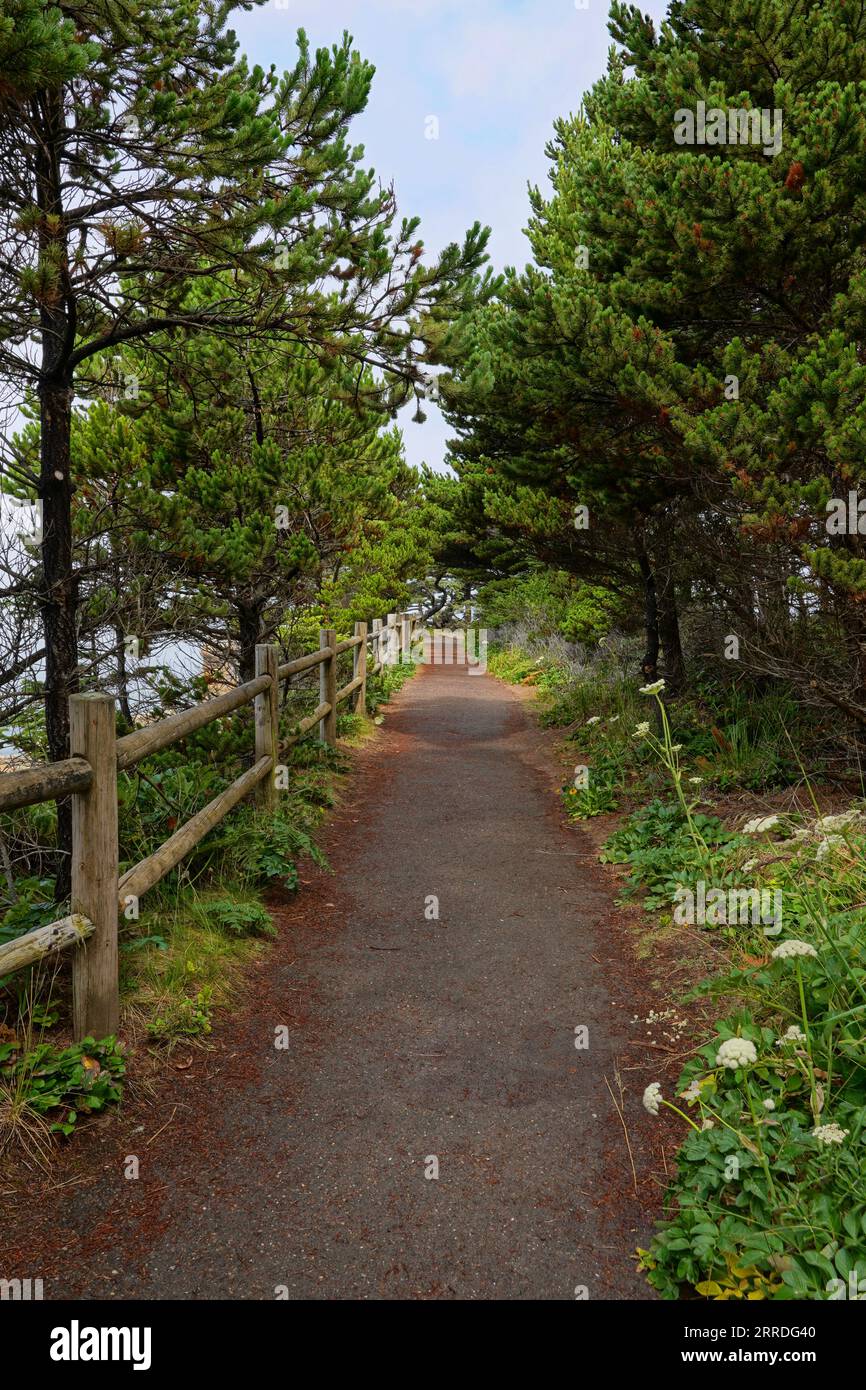 Sentiero delimitato da una staccionata tra gli alberi Foto Stock
