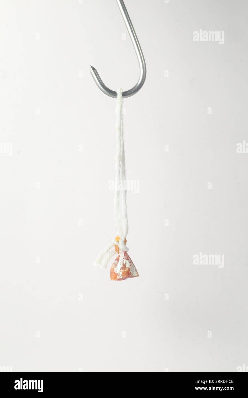 concetto di business, crisi economica, recessione, inflazione, povertà e disuguaglianza economica con fine salsiccia su sfondo bianco, spazio libero per le copie Foto Stock