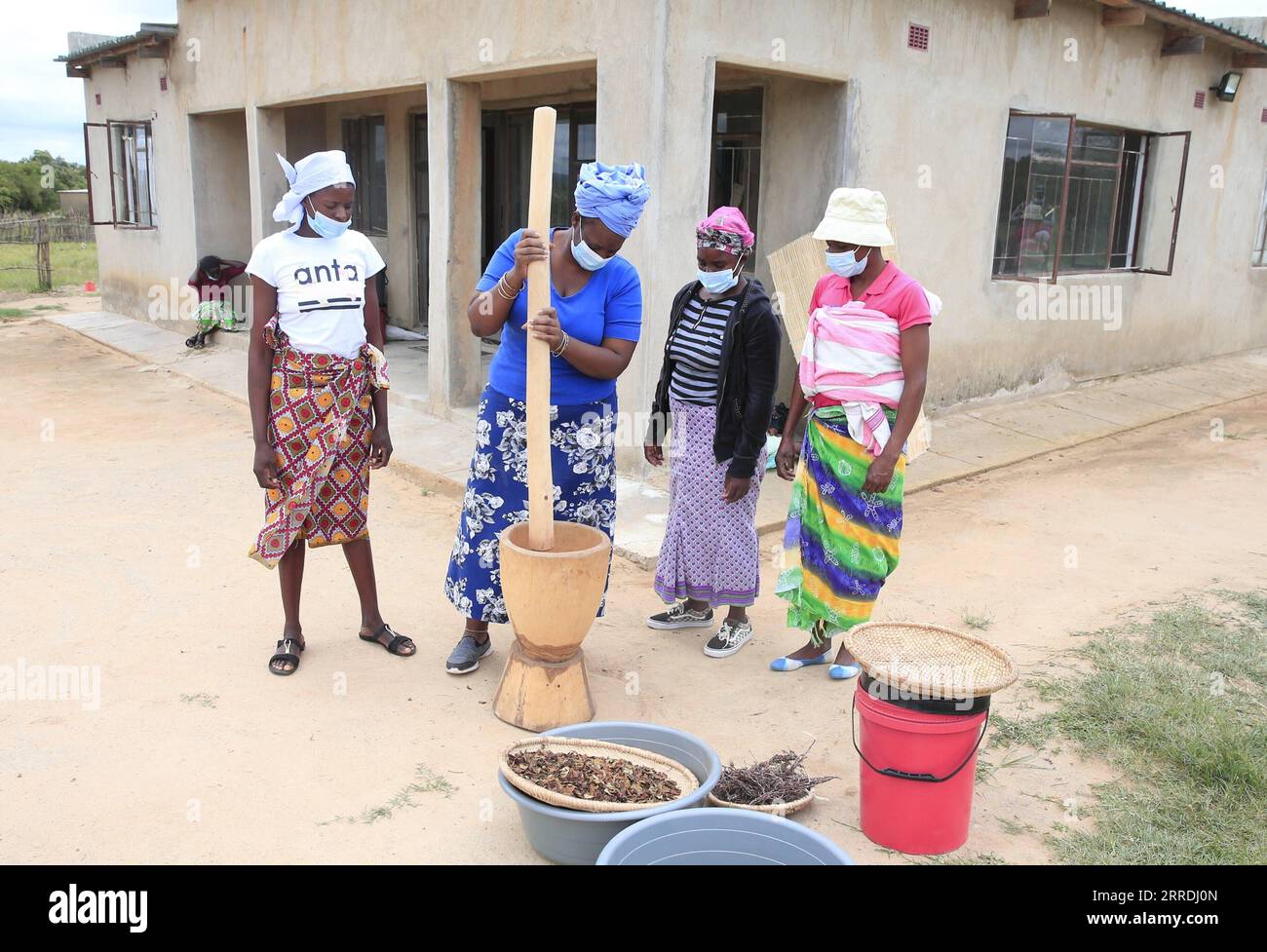 211227 -- DOMBOSHAVA ZIMBABWE, 27 dicembre 2021 -- Tsitsi Machingauta 2nd L, fondatrice e coordinatrice nazionale del sindacato agricolo femminile WFS, Pounds Traditional Herbs in Domboshava, Mashonaland East Province, Zimbabwe, 21 dicembre 2021. Foto di /Xinhua TO GO WITH Feature: Le donne dello Zimbabwe sfruttano le conoscenze tradizionali per sostenere i mezzi di sussistenza ZIMBABWE-MASHONALAND EAST PROVINCE-DOMBOSHAVA-WOMEN-LIVELIHOODS ShaunxJusa PUBLICATIONxNOTxINxCHN Foto Stock