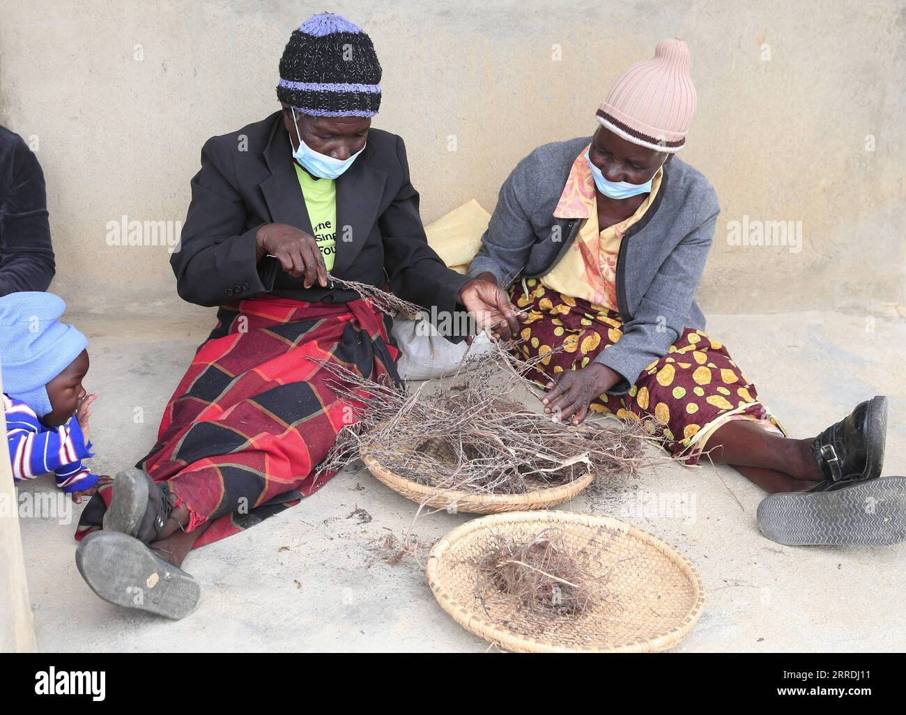 211227 -- DOMBOSHAVA ZIMBABWE, 27 dicembre 2021 -- i membri del sindacato agricolo femminile WFS preparano erbe tradizionali a Domboshava, Mashonaland East Province, Zimbabwe, il 21 dicembre 2021. Foto di /Xinhua TO GO WITH Feature: Le donne dello Zimbabwe sfruttano le conoscenze tradizionali per sostenere i mezzi di sussistenza ZIMBABWE-MASHONALAND EAST PROVINCE-DOMBOSHAVA-WOMEN-LIVELIHOODS ShaunxJusa PUBLICATIONxNOTxINxCHN Foto Stock
