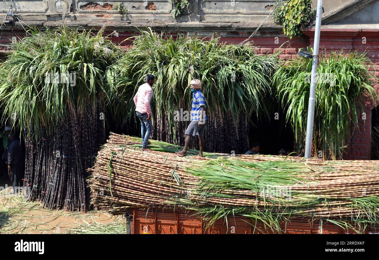 220112 -- BANGALORE, 12 gennaio 2022 -- i pacchetti di canna da zucchero sono immagazzinati fuori da un mercato all'ingrosso alla vigilia del Makar Sankranti Festival a Bangalore, India, 11 gennaio 2022. La gente si scambia pezzi di canna da zucchero per significare dolcezza durante Makar Sankranti. Str/Xinhua INDIA-BANGALORE-MAKAR SANKRANTI FESTIVAL-PREPARAZIONE Stringer PUBLICATIONxNOTxINxCHN Foto Stock