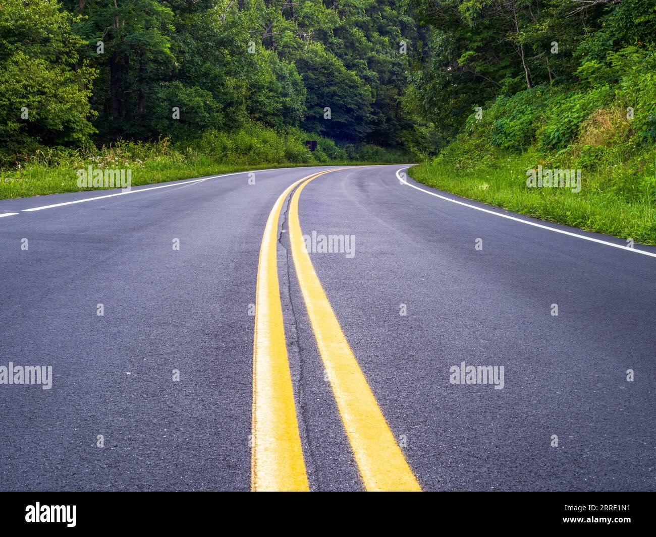 Vista dall'angolo basso della Skyline Drive con vivaci linee centrali gialle, che si snodano attraverso il pittoresco Parco Nazionale di Shenandoah in Virginia, Stati Uniti. Foto Stock