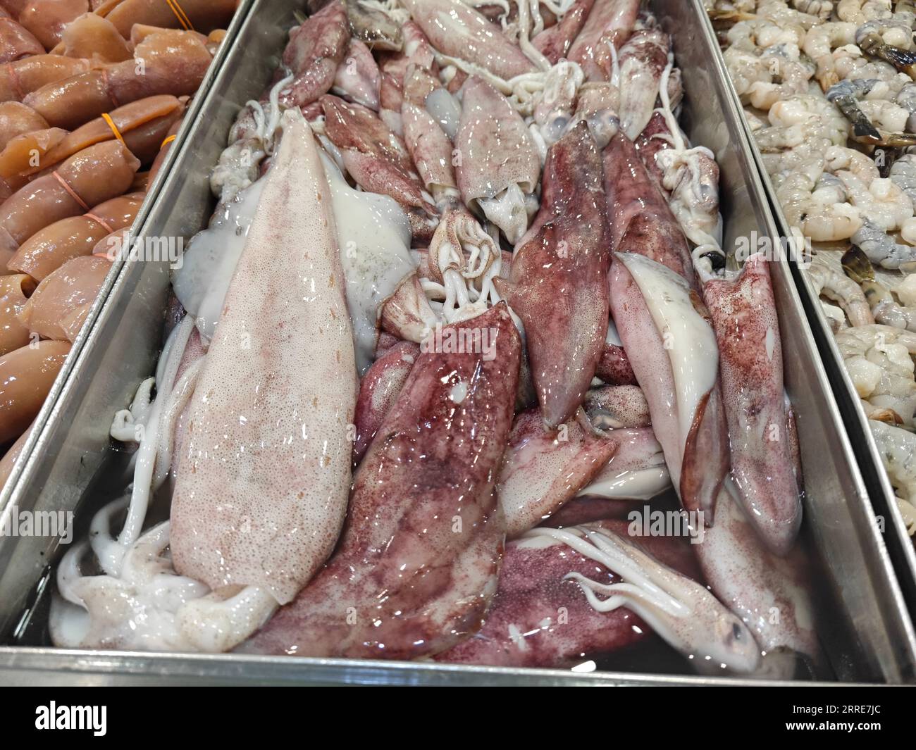 un vassoio pieno di calamari loligo forbesii. Foto Stock