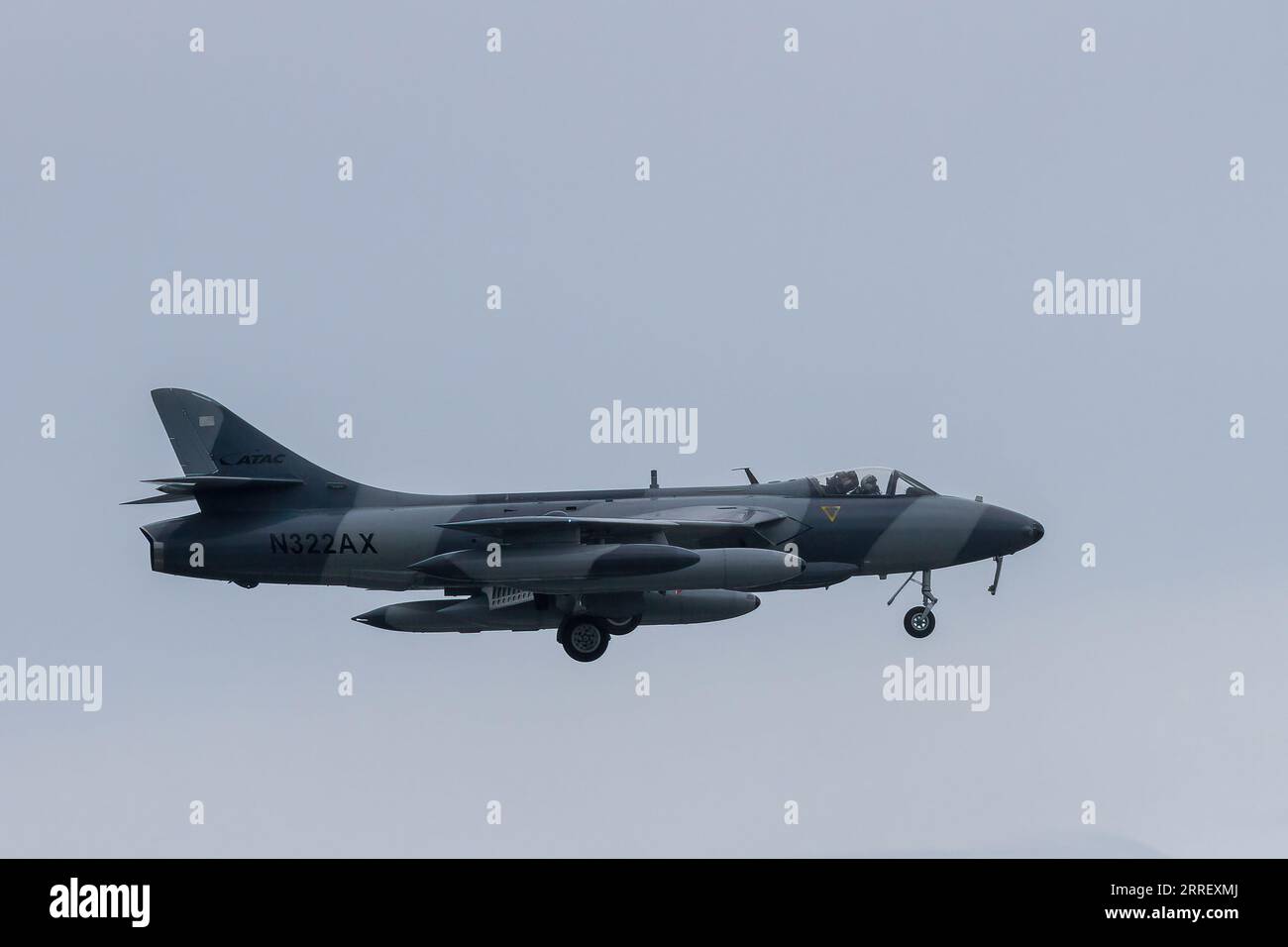 Un Hawker Hunter MK58 pilotato dalla Airborne Tactical Advantage Company (ATAC), un appaltatore militare privato che volava vicino alla base aerea della NAF Atsugi. Il 47th Japanese-American Friendship Festival è un festival annuale di due giorni che presenta esibizioni statiche e volanti da parte degli aerei militari e giapponesi della forza di autodifesa (JSDF). Questo festival si svolge presso la base aerea di Yokota a Fussa. Foto Stock