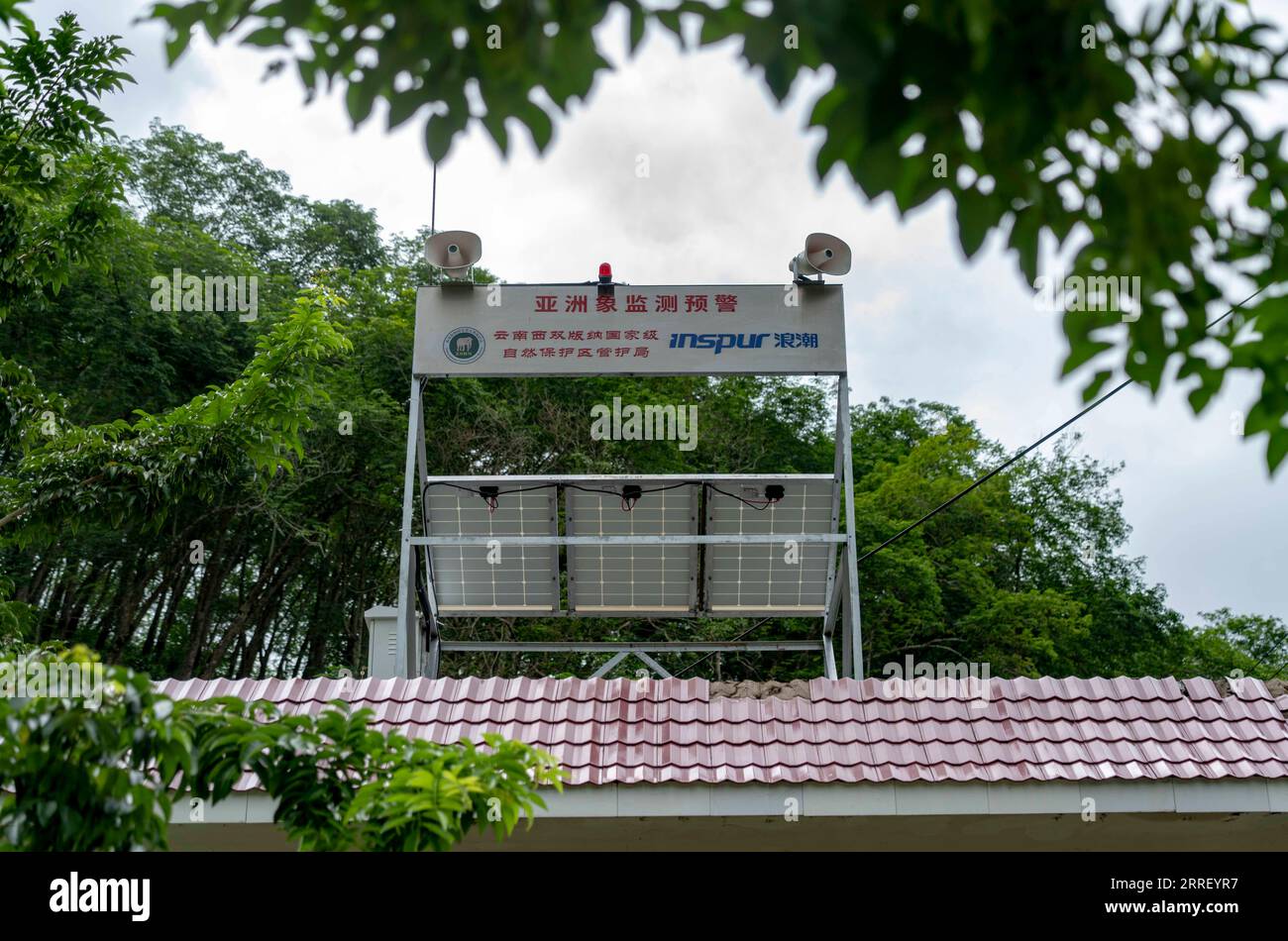 220321 -- KUNMING, 21 marzo 2022 -- una struttura asiatica di monitoraggio e allerta degli elefanti è situata nella città di Dadugang della città di Jinghong, prefettura autonoma di Xishuangbanna dai, provincia dello Yunnan della Cina sud-occidentale, 7 agosto 2020. Xinhua titoli: Lavorare per mantenere felici gli elefanti in viaggio nella foresta a casa ChenxXinbo PUBLICATIONxNOTxINxCHN Foto Stock