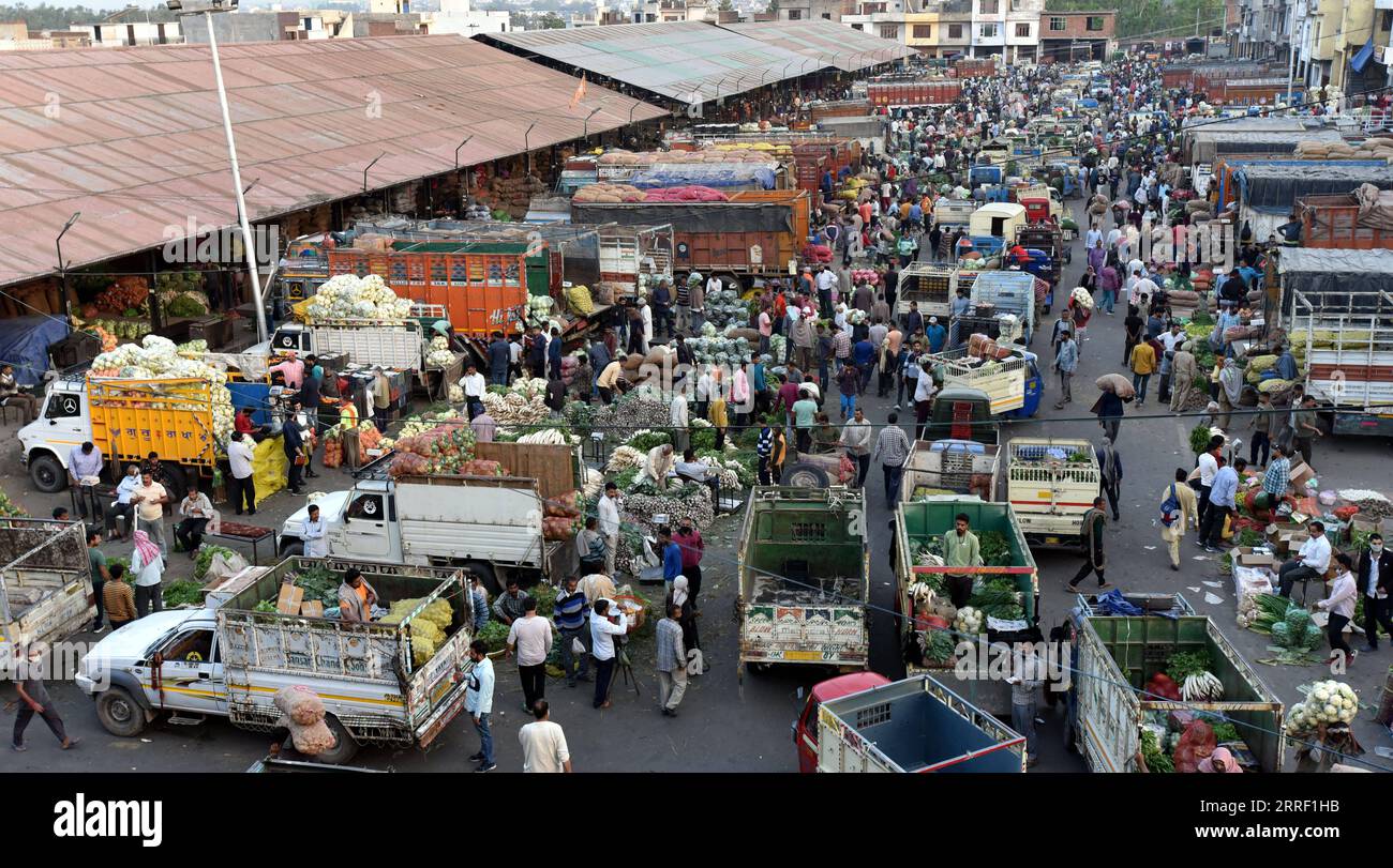 220323 -- JAMMU, 23 marzo 2022 -- la gente fa shopping in un mercato all'ingrosso di frutta e verdura a Jammu, la capitale invernale del Kashmir controllato dagli indiani, 23 marzo 2022. Str/ KASHMIR-JAMMU-MARKET Xinhua PUBLICATIONxNOTxINxCHN Foto Stock