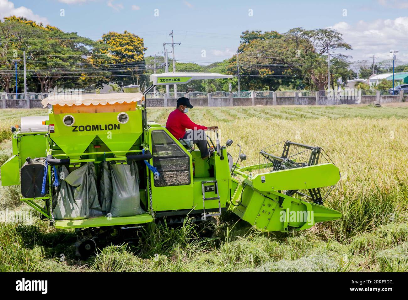 220326 -- NUEVA ECIJA, 26 marzo 2022 -- Un agricoltore lavora al Philippine-sino Center for Agricultural Technology PhilSCAT nella provincia di Nueva Ecija, Filippine il 25 marzo 2022. Le Filippine stanno raccogliendo i frutti della loro collaborazione agricola con la Cina per aumentare l'approvvigionamento alimentare e salvaguardare la sicurezza alimentare nel paese, ha dichiarato venerdì il segretario all'agricoltura William Dar. Dar ha fatto le osservazioni in una cerimonia che ha segnato l'inaugurazione di nuovi laboratori di allevamento presso il Philippine-sino Center for Agricultural Technology PhilSCAT nella città di Munoz nella provincia di Nueva Ecija, a nord di Manila. PH Foto Stock