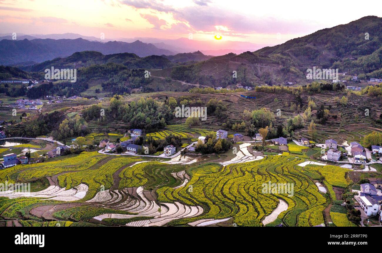 220403 -- ANKANG, 3 aprile 2022 -- foto aerea scattata il 2 aprile 2022 mostra lo scenario del campo terrazzato di Ankang, nella provincia dello Shaanxi della Cina nord-occidentale. CHINA-SHAANXI-TERRACED FIELD-SCENOGRAFIA CN TAOXMING PUBLICATIONXNOTXINXCHN Foto Stock