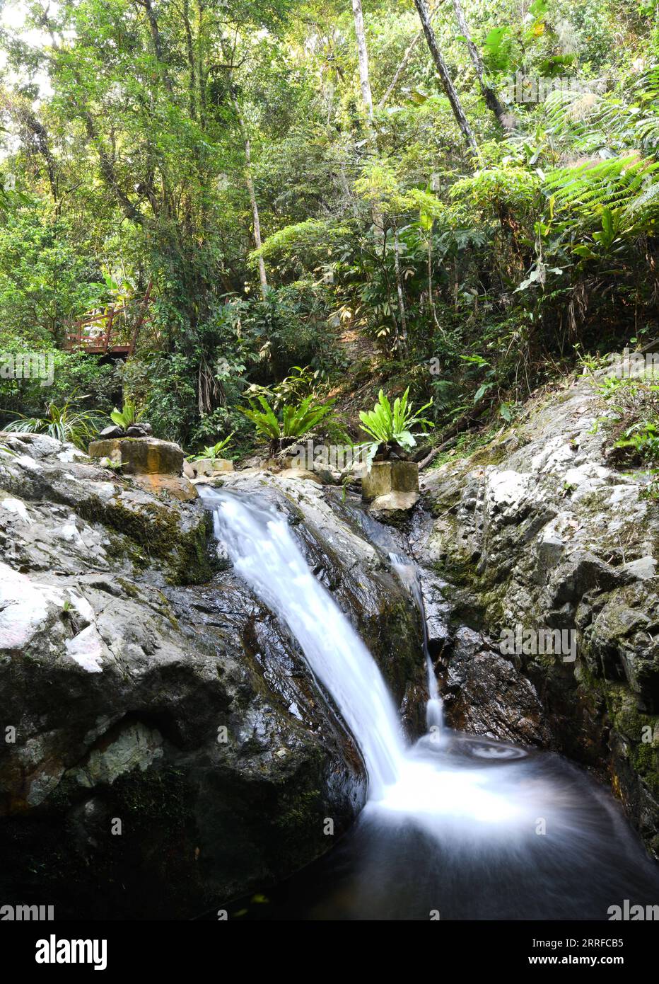 220412 -- WUZHISHAN, 12 aprile 2022 -- la foto scattata il 12 aprile 2022 mostra la sezione Wuzhishan del Parco Nazionale della Foresta pluviale tropicale di Hainan a Wuzhishan, nella provincia di Hainan nella Cina meridionale. Il Parco Nazionale della Foresta pluviale tropicale di Hainan, uno dei primi parchi nazionali designati in Cina, si estende su nove città e contee della Provincia di Hainan della Cina meridionale, coprendo un'area totale di oltre 4.000 km quadrati Ospita le foreste pluviali tropicali più concentrate e ben conservate della Cina. CHINA-HAINAN-WUZHISHAN-SCENERY CN YangxGuanyu PUBLICATIONxNOTxINxCHN Foto Stock